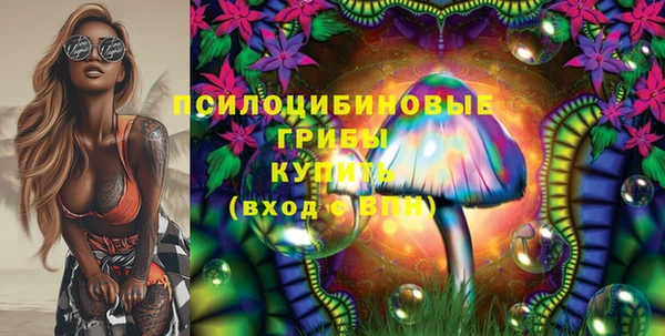 прущий лед Дмитриев